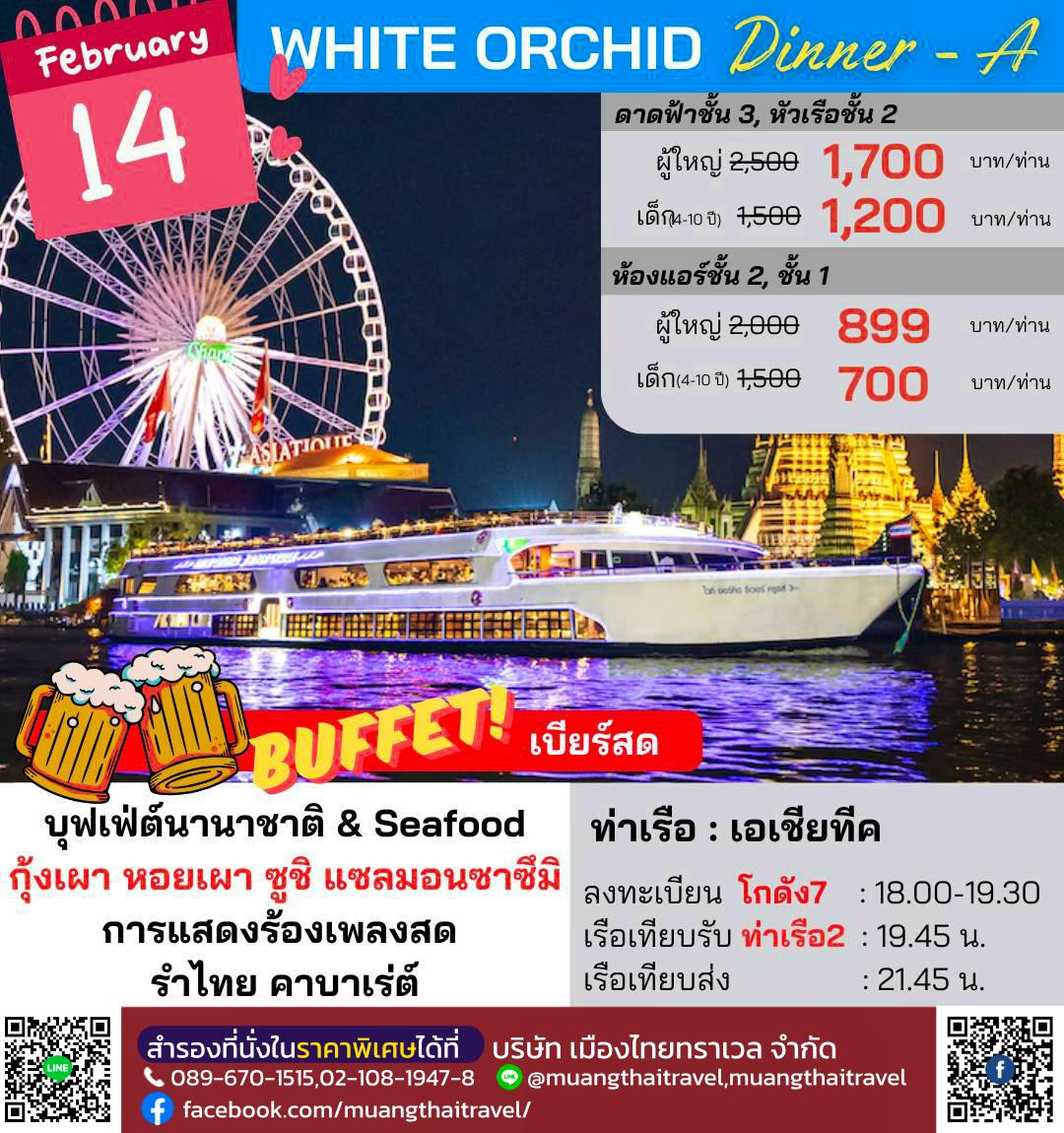 WHITEORCHID_VALENTINE_ASIATIQUE